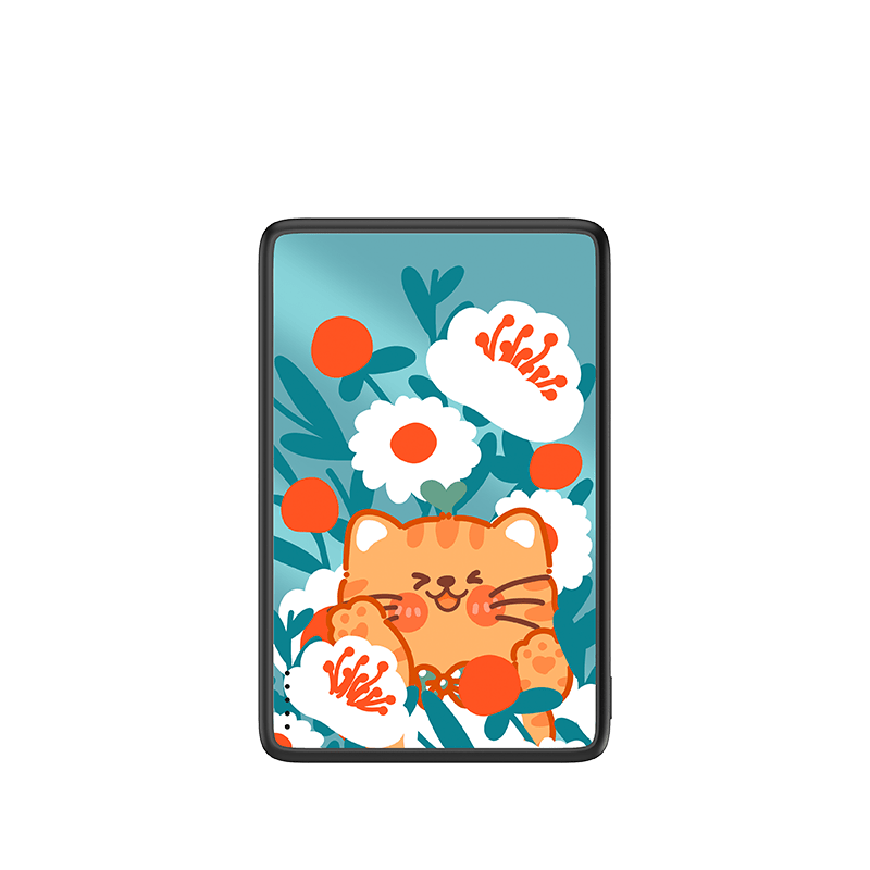 GINGER Cat Magnetic Power Bank - CaseBangPower BankCaseBang5000mAh